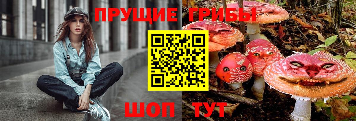 Александров  Псилоцибиновые грибы мицелий  Вход с VPN 